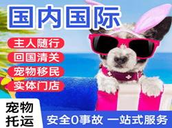 西宁机场货运国际宠物托运 【国